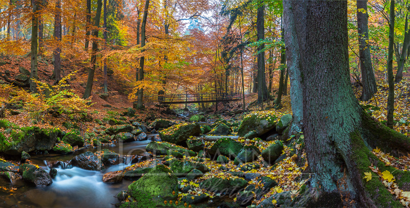 Ilse River, Harz Mountains, Germany