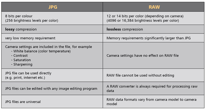 Chart describing the differences between JPG and RAW