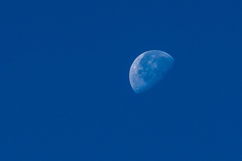 Photo of a half moon against a blue sky
