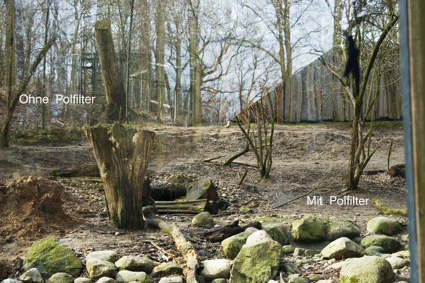 Reflections in a window