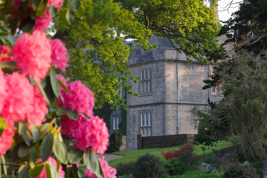 Photo of Muckross House in County Kerry, Ireland with out of focus pink rhododendron in the foreground