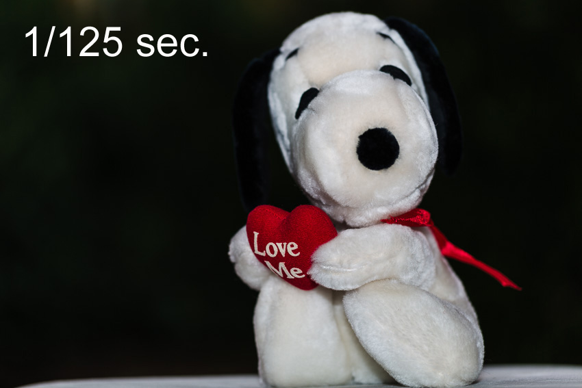 Stuffed animal Stuffed animal