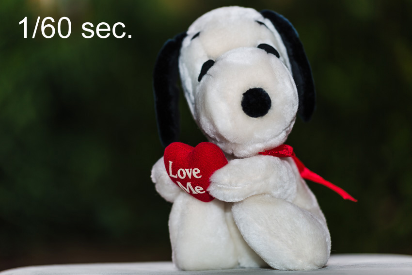 Stuffed animal Stuffed animal