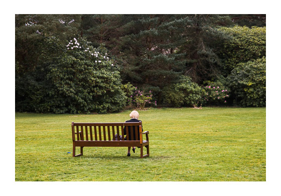 Photo of a single woman sitting alone on a bench in a park