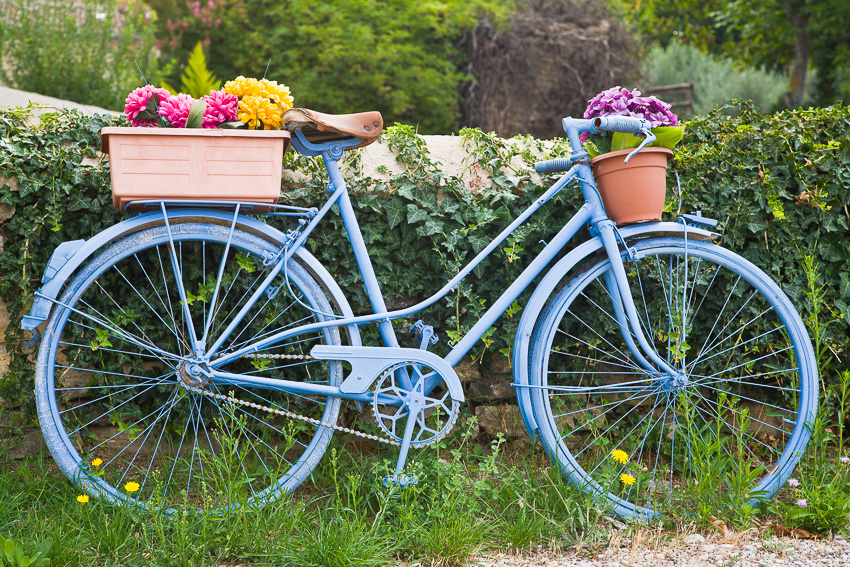 Blue bike Photo of a blue painted bike with flower pots and colorful flowers on it