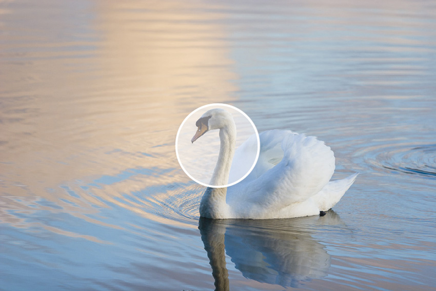 Principle of the selective metering mode